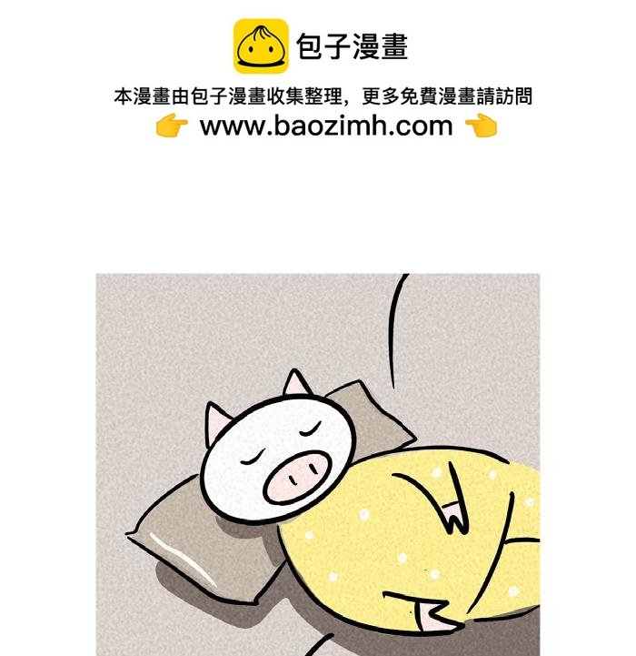 撸猫那些事