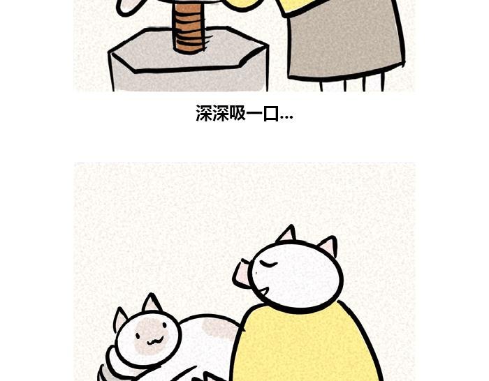 下班到家吸猫