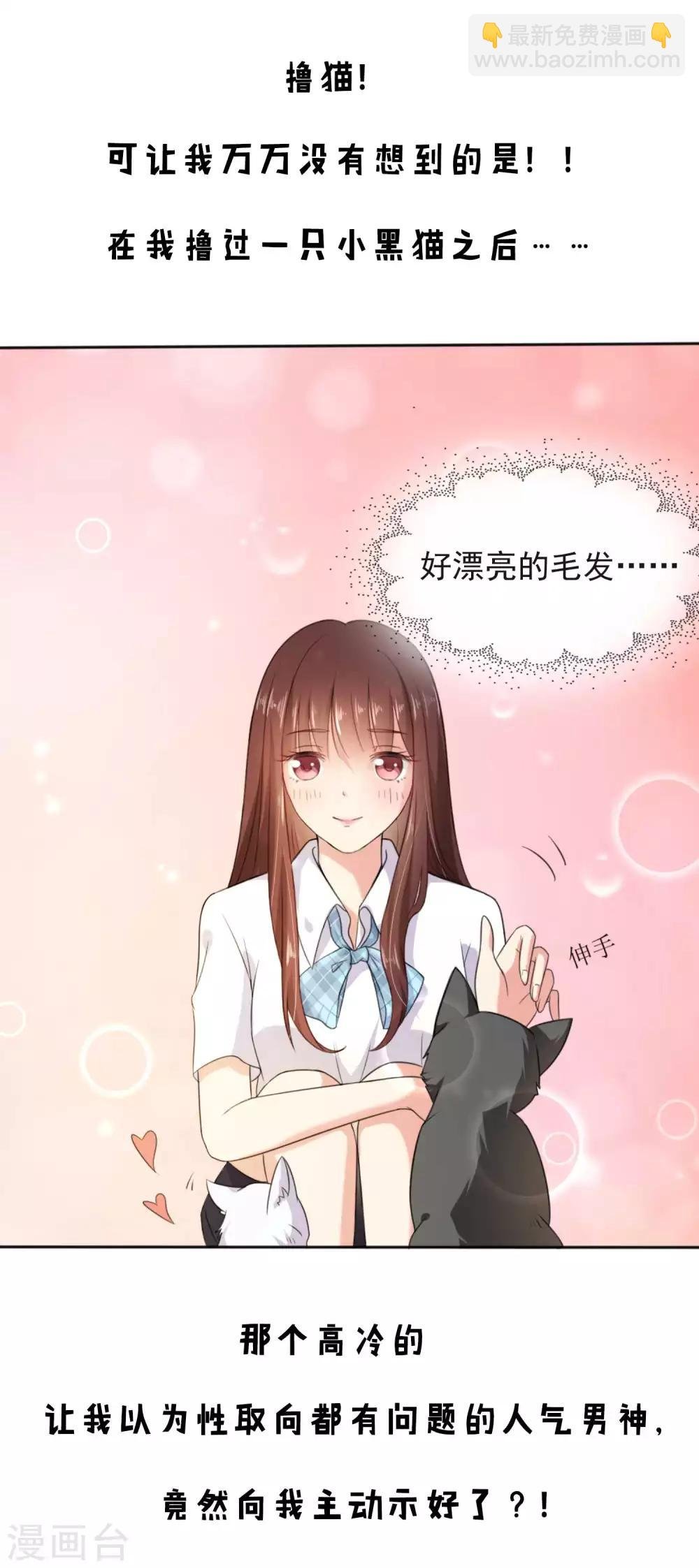 预告