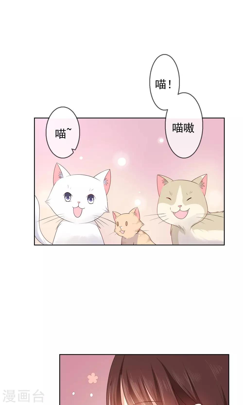第10话 真心与虚伪