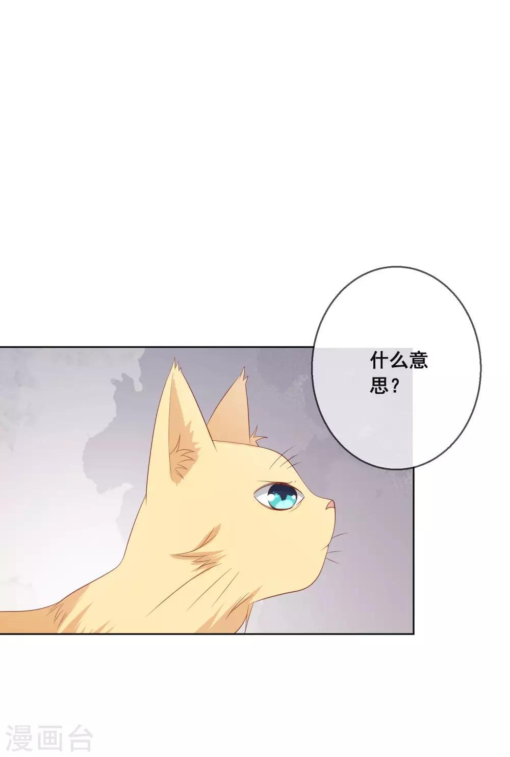 第113话 娃娃亲？！