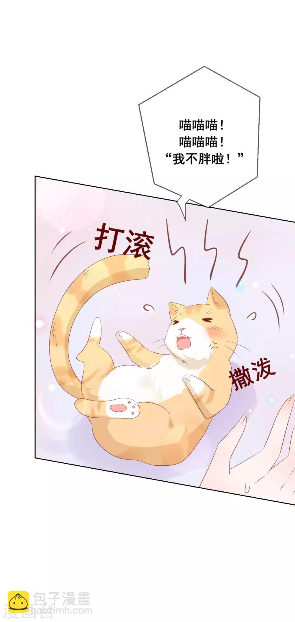 第133话 想要变成猫