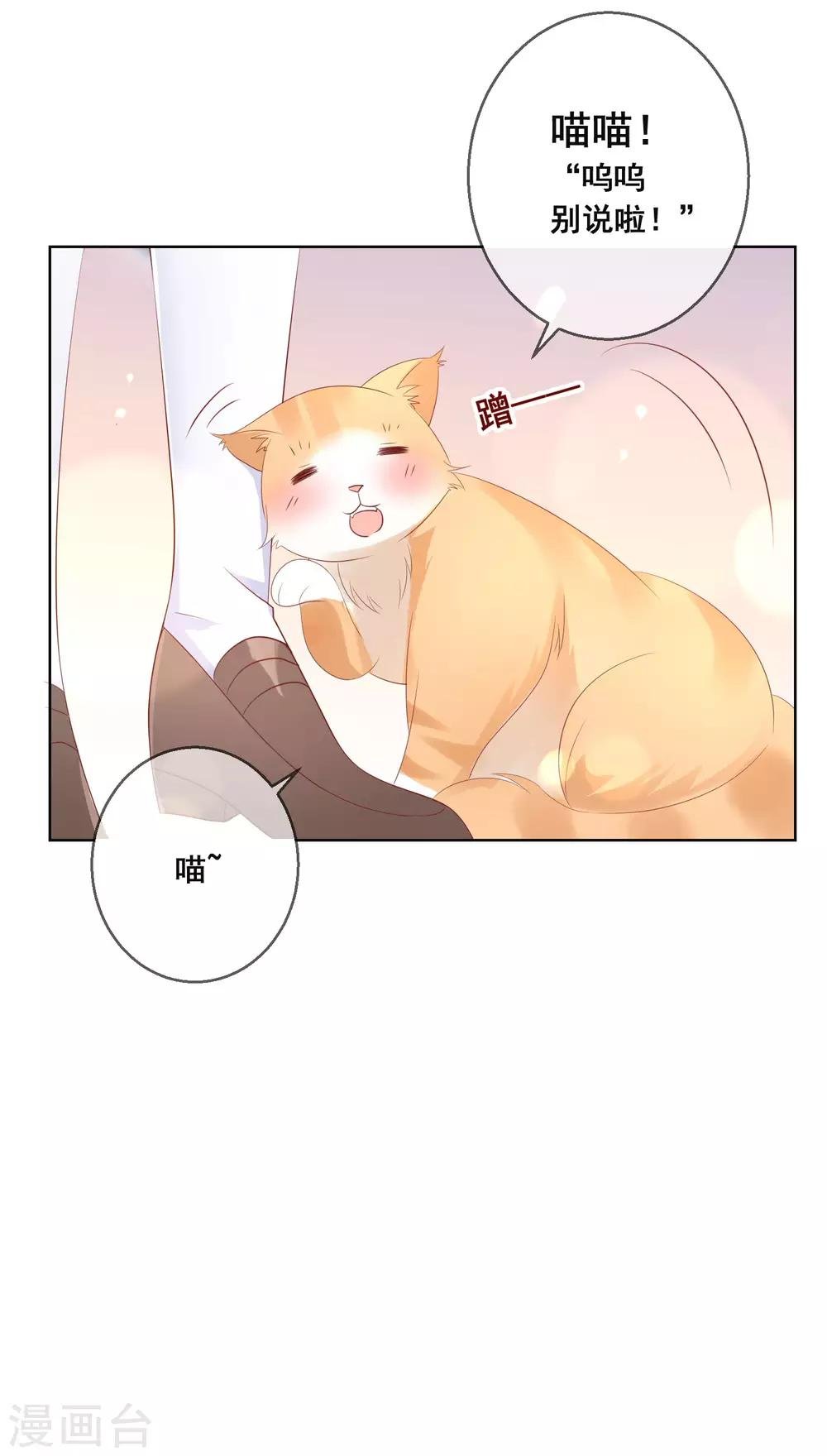 第133话 想要变成猫