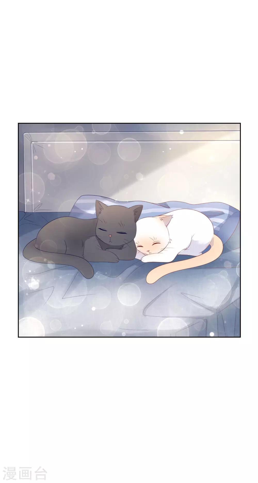 第137话 抱紧我