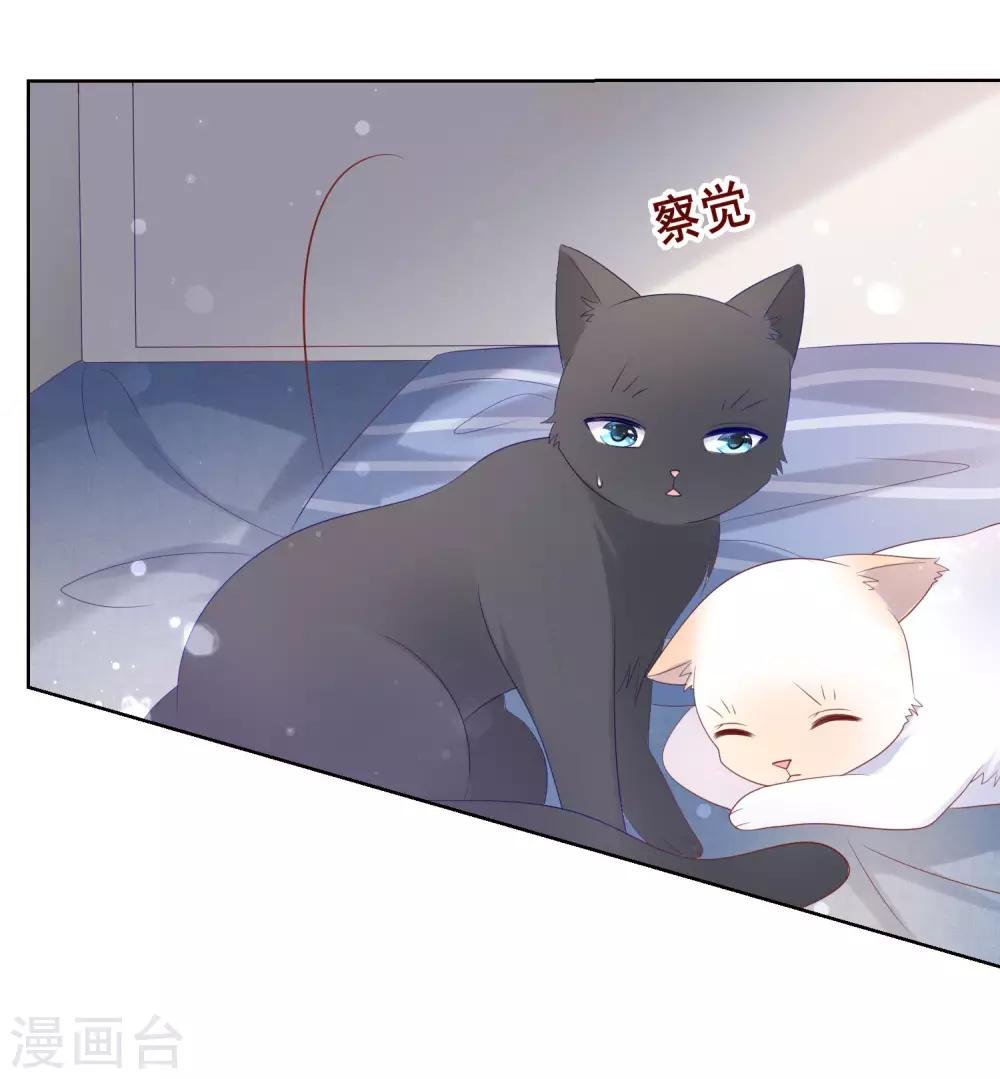 第137话 抱紧我
