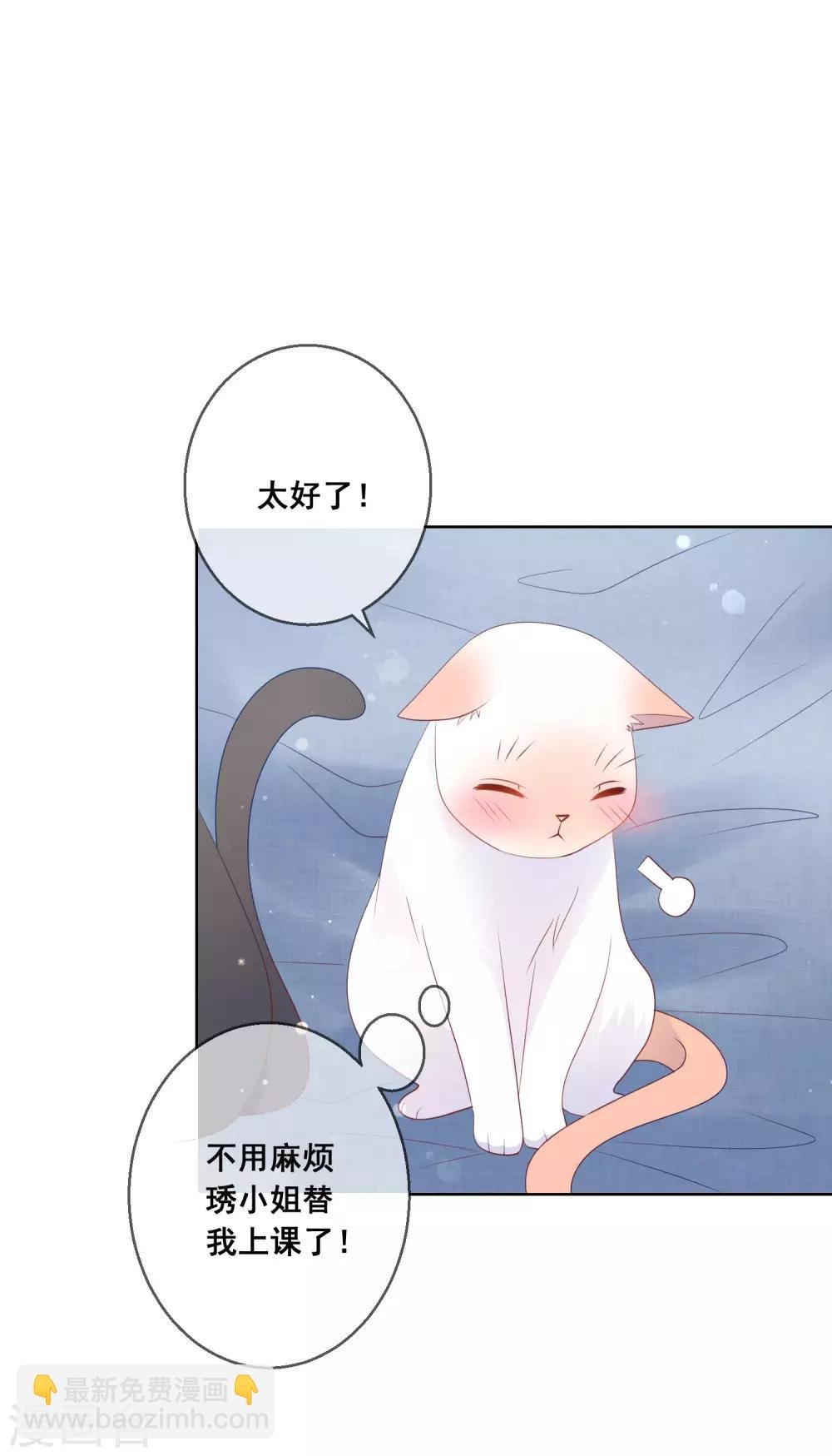 第138话 我怎么变小了？！