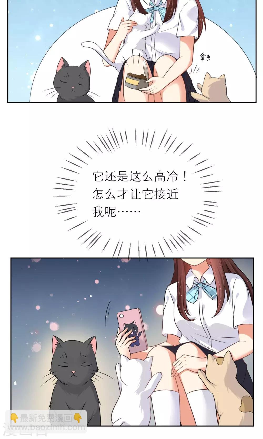 第3话 人间极乐是喵咪