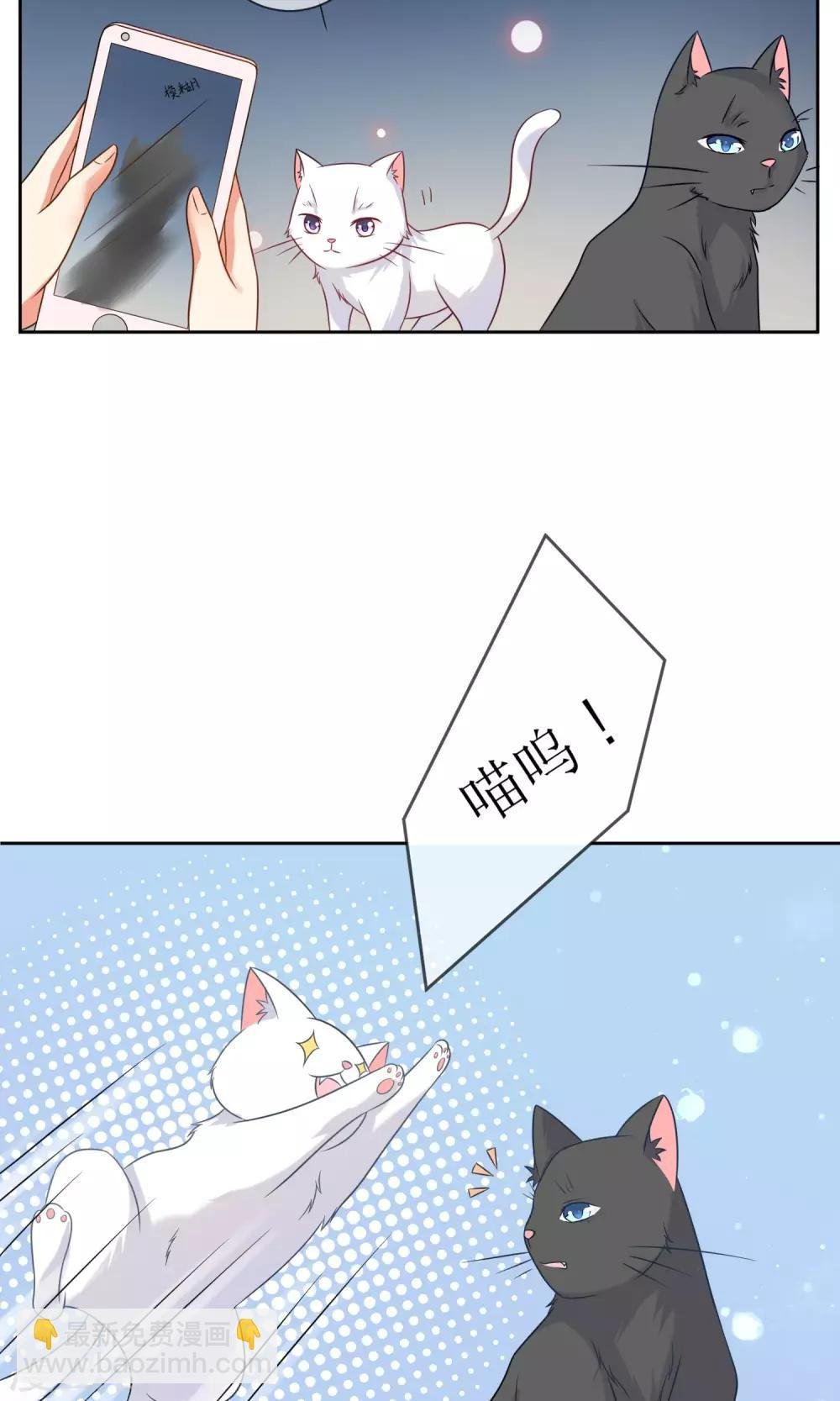 第3话 人间极乐是喵咪