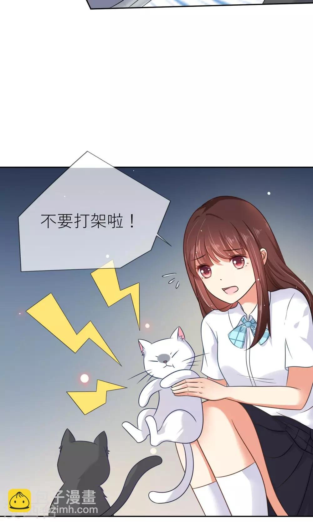 第3话 人间极乐是喵咪