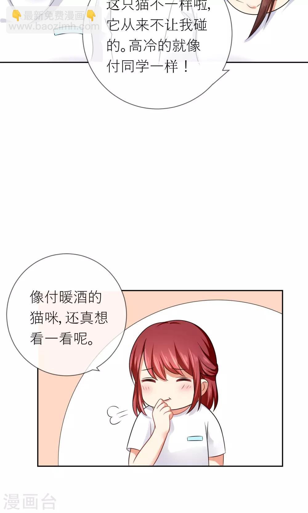 第3话 人间极乐是喵咪