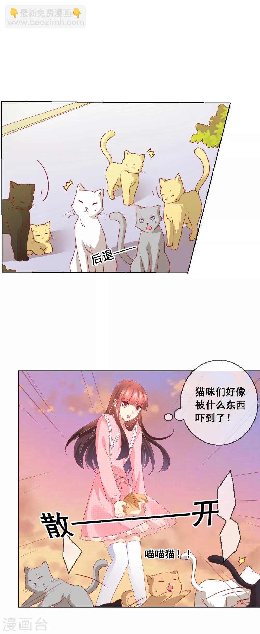 第46话 喵咪的身份暴露了！