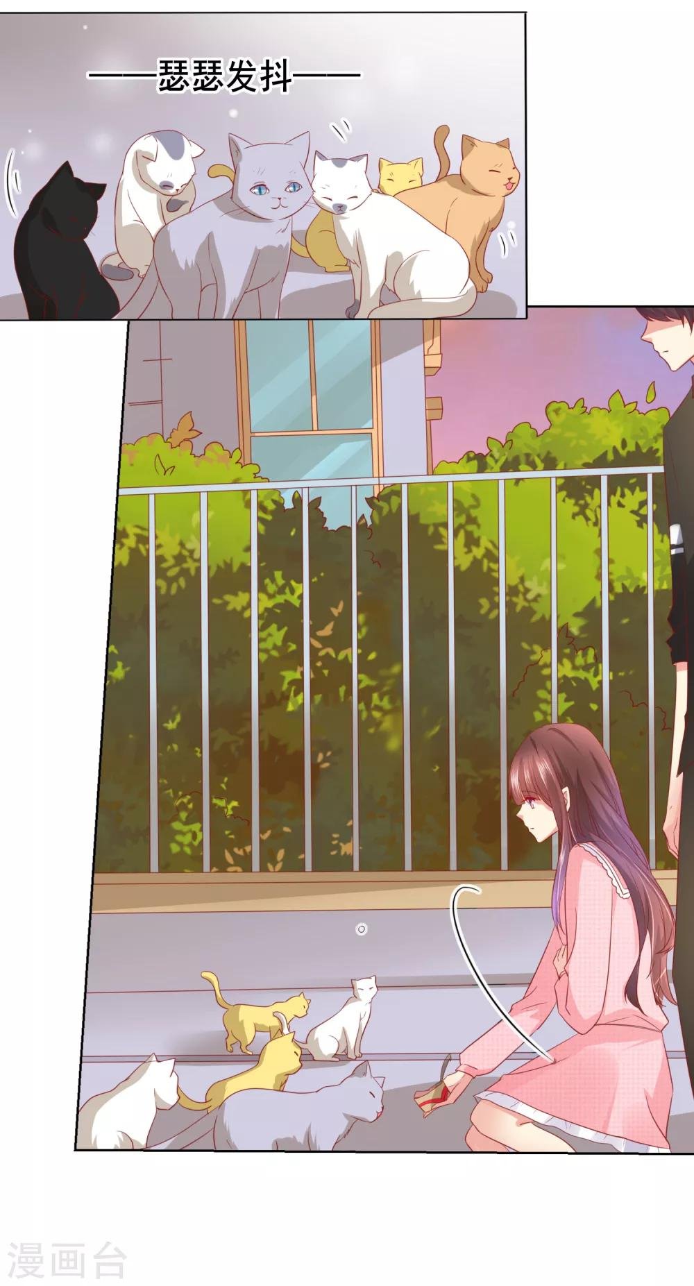 第46话 喵咪的身份暴露了！