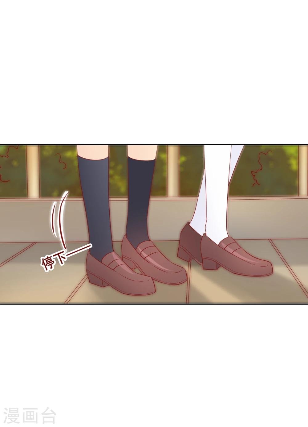 第65话 参加猫咪选美大赛？！