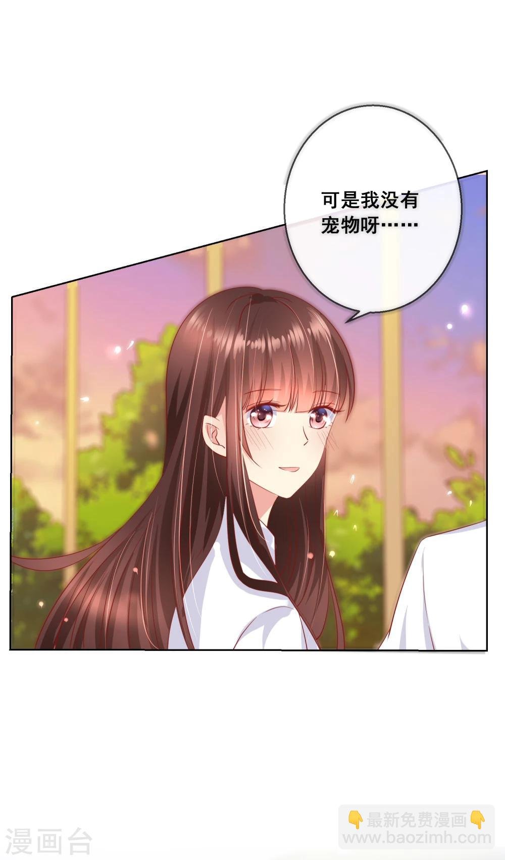 第65话 参加猫咪选美大赛？！