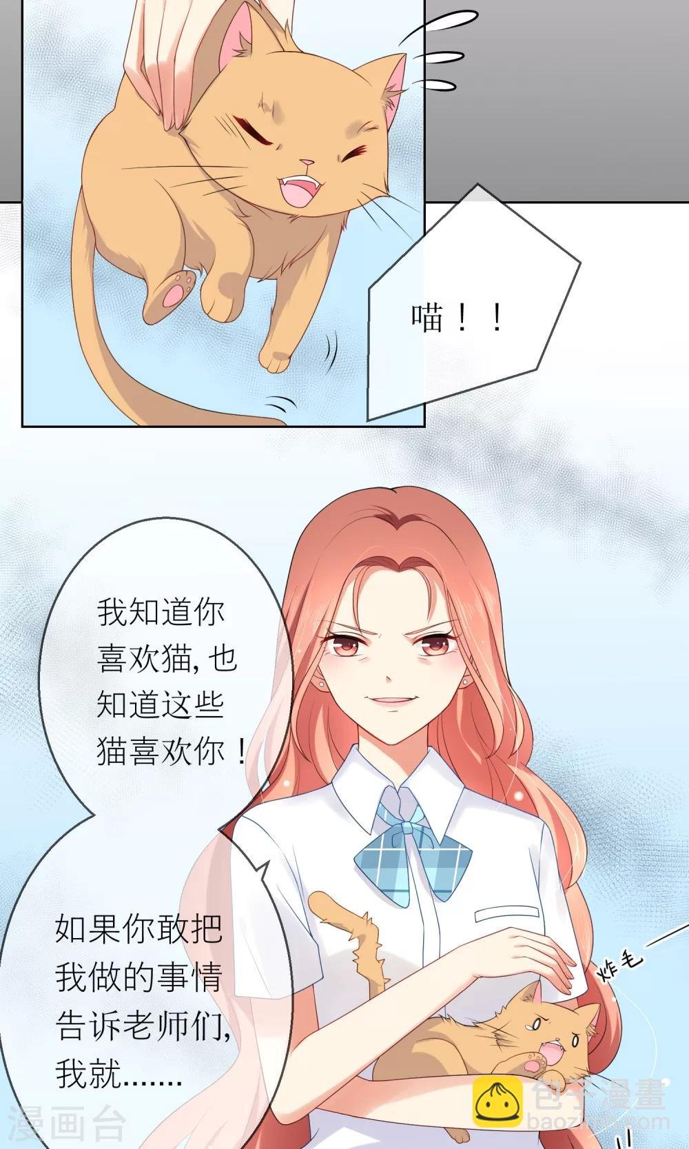第7话 我要弄死这些猫