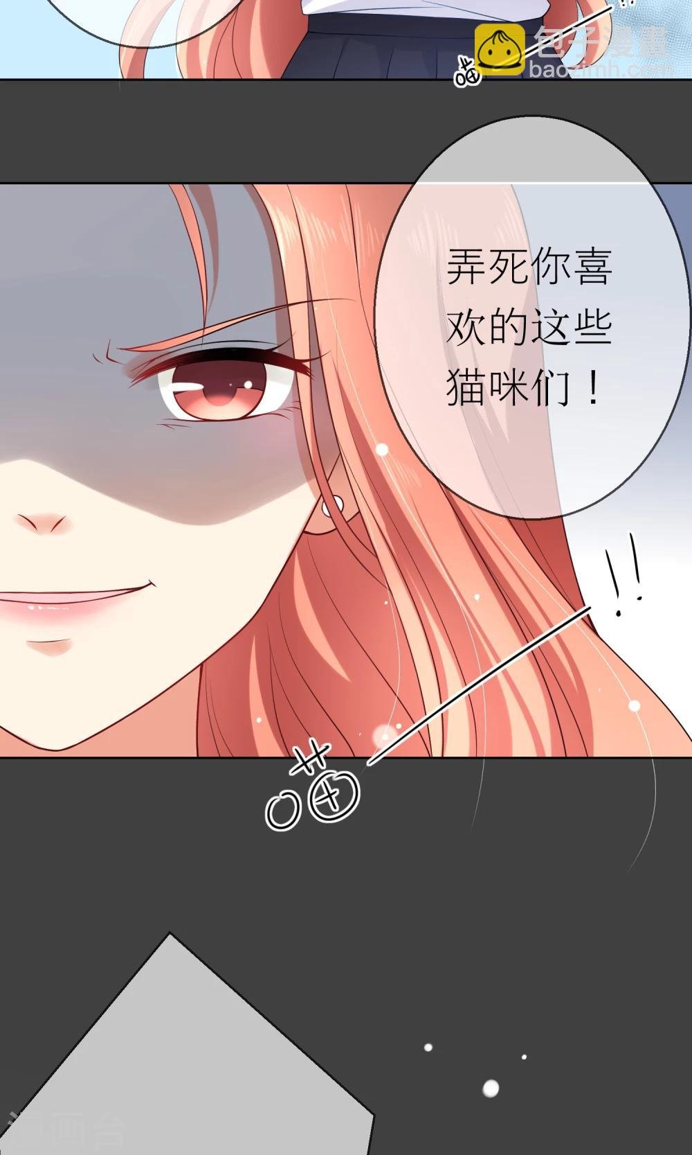 第7话 我要弄死这些猫