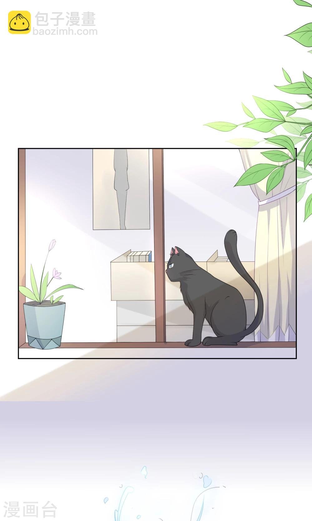第7话 我要弄死这些猫