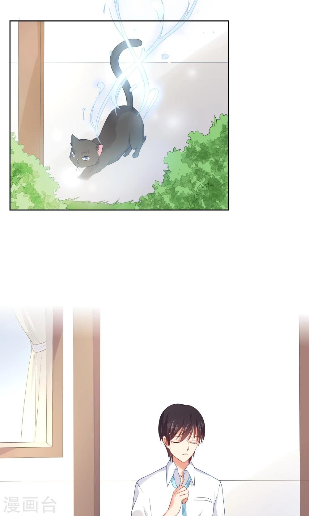 第7话 我要弄死这些猫