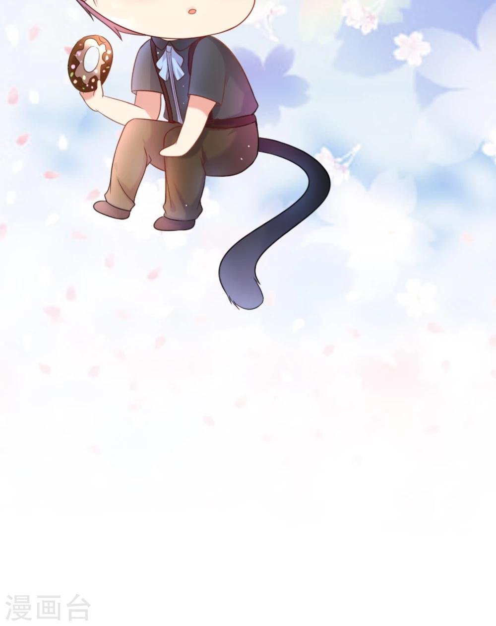 第7话 我要弄死这些猫