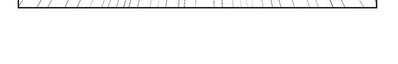 九