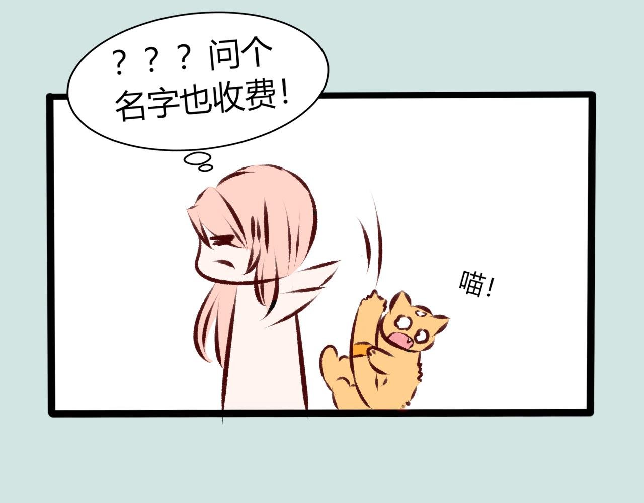 第五话 可爱的喵咪