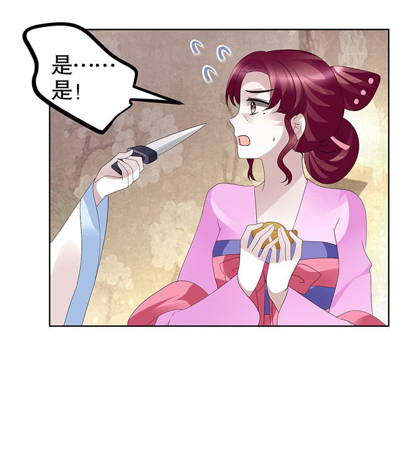 第116话寻仙阁一日游