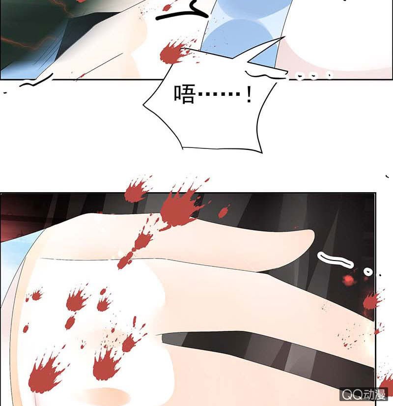 第52话 美女救英雄，流血又如何