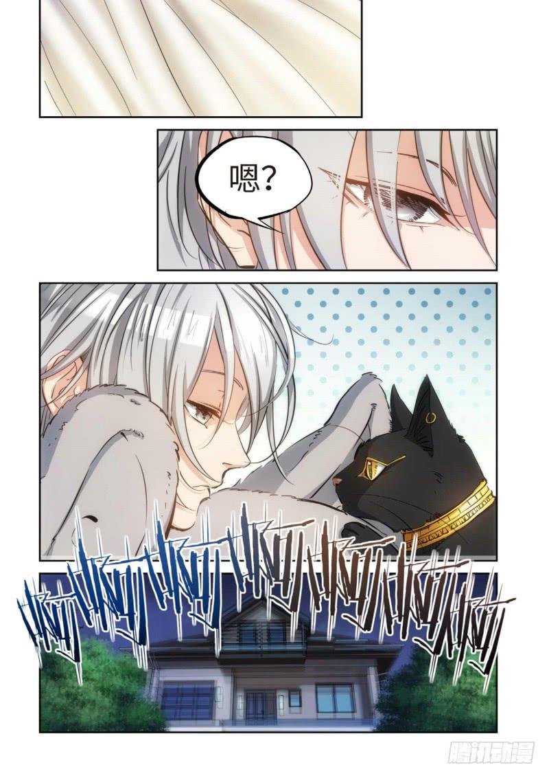 81.猫来了（01）