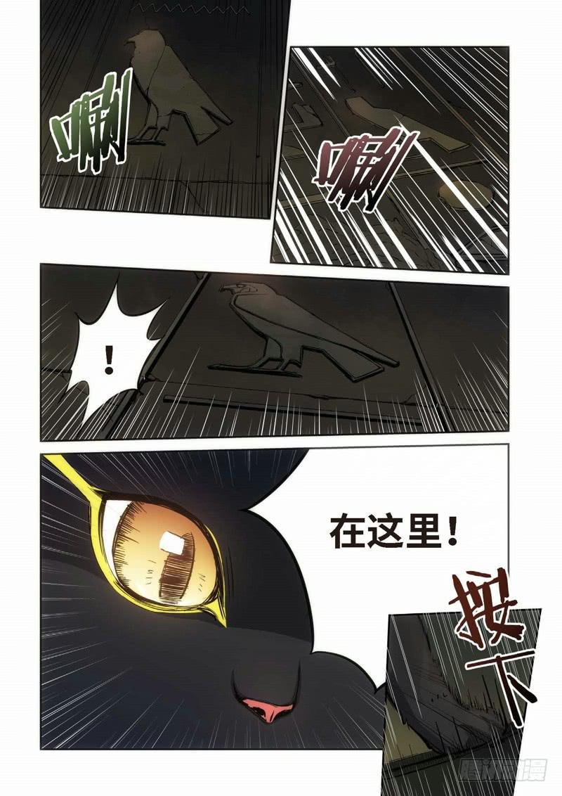 87.猫来了（07）