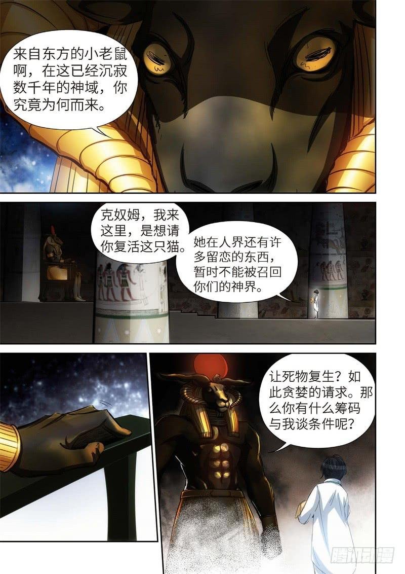 91.猫来了（11）