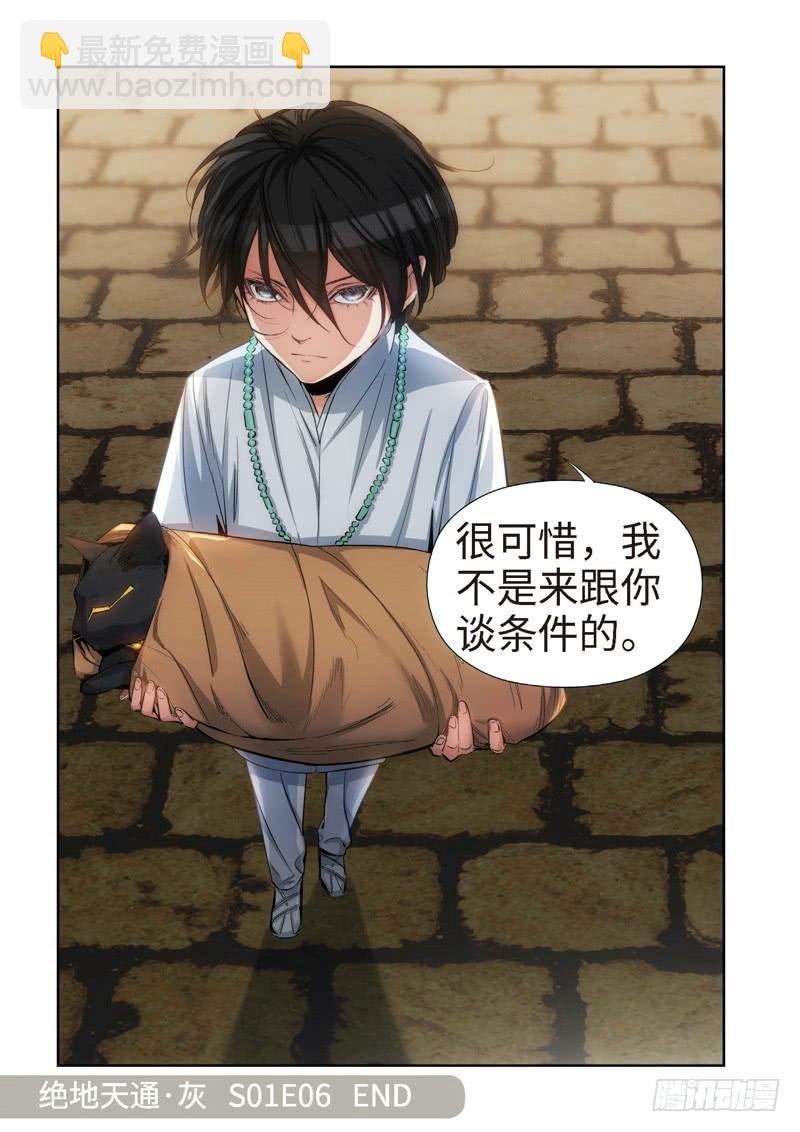 91.猫来了（11）