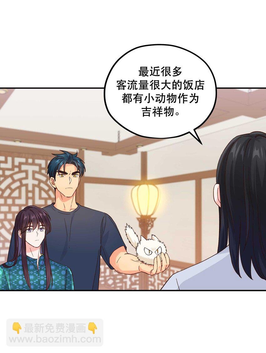 120 小~猫~咪~