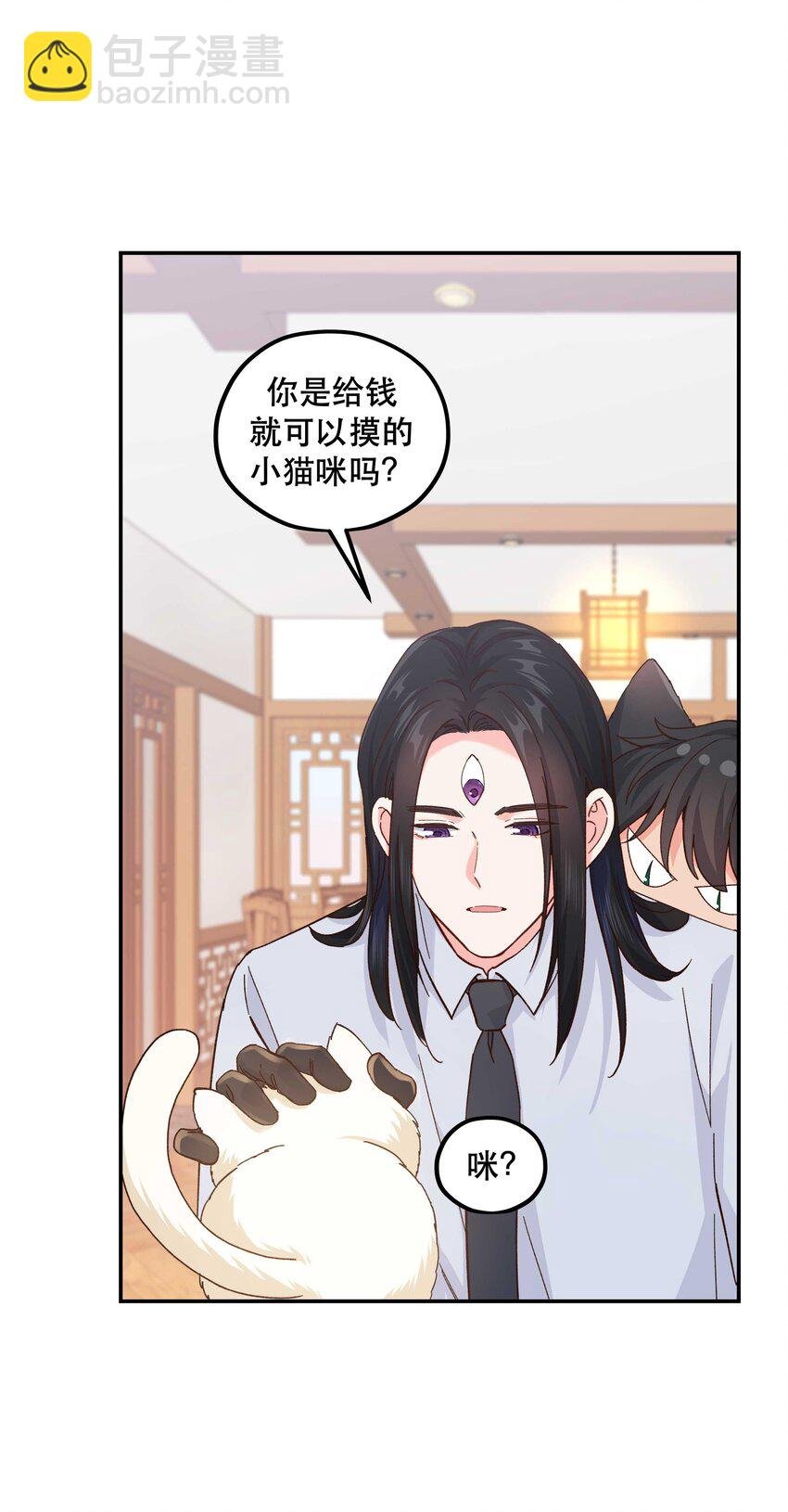 120 小~猫~咪~