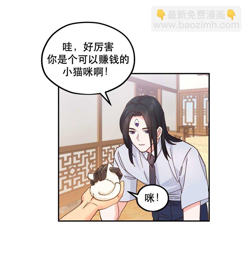 120 小~猫~咪~