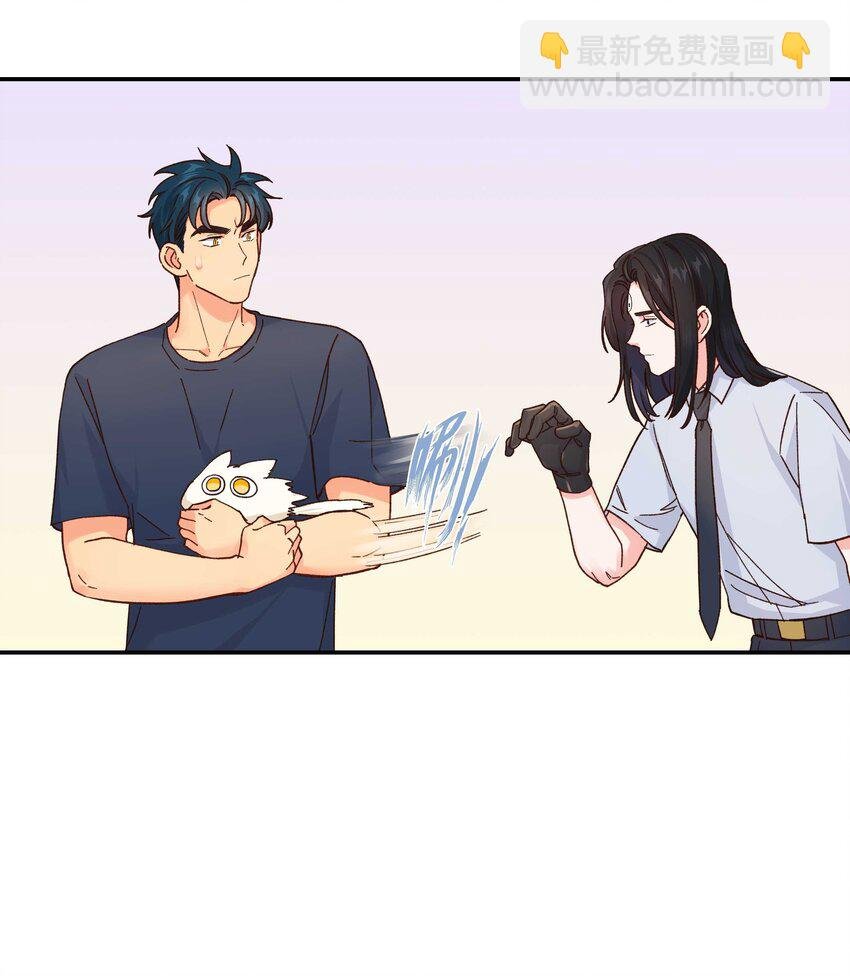120 小~猫~咪~