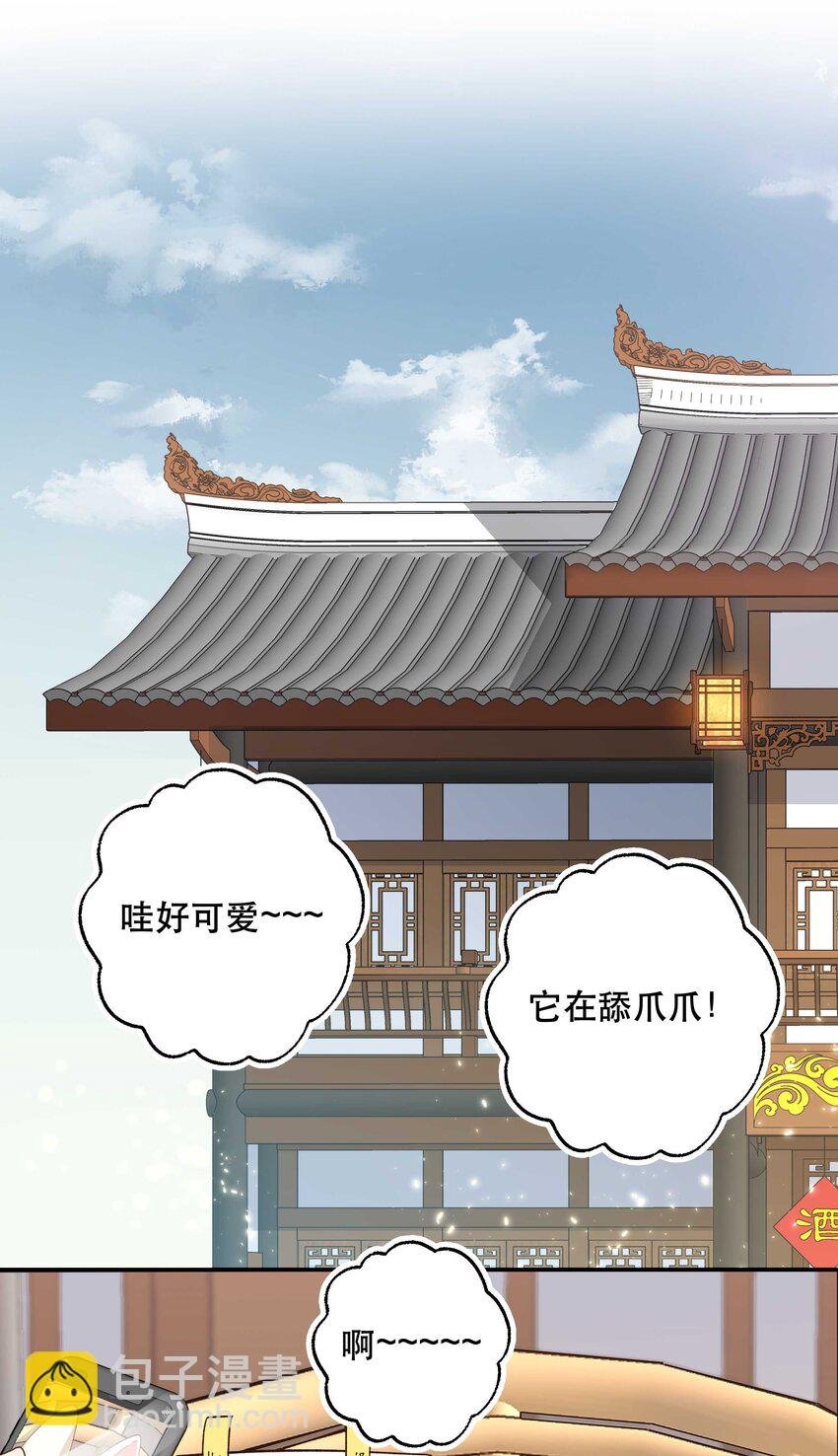 120 小~猫~咪~