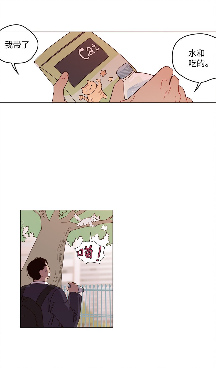 01 长相给我带来的烦恼