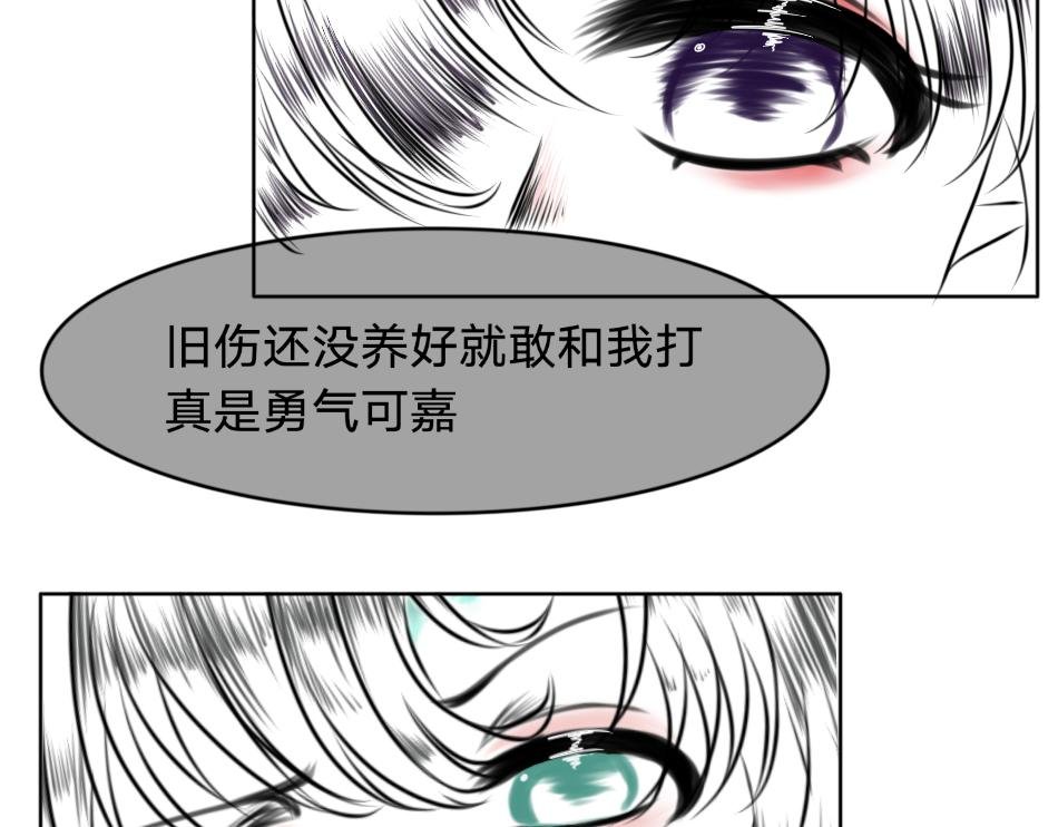 25号组织.2