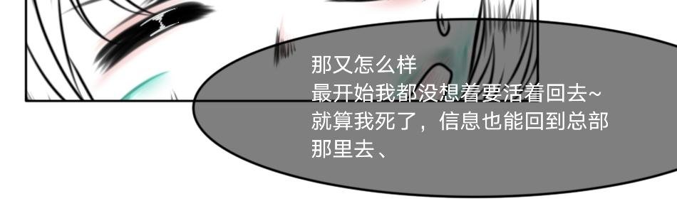 25号组织.2