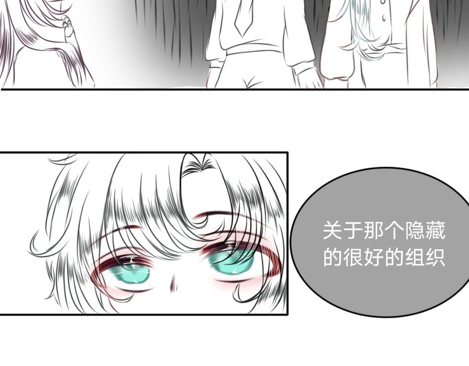 25号组织（前奏）