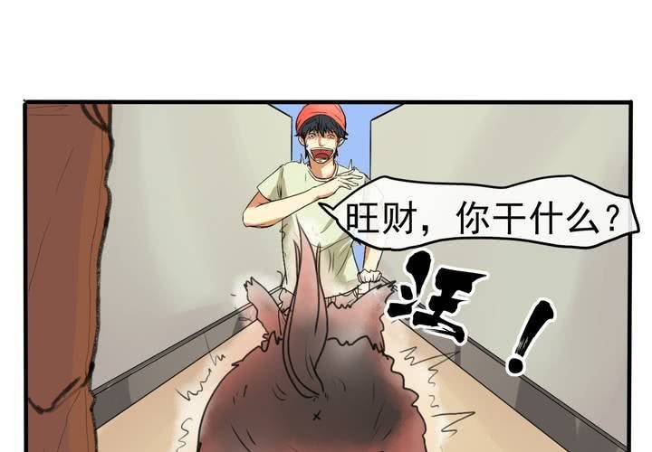 第四回：鱼游釜中（下）