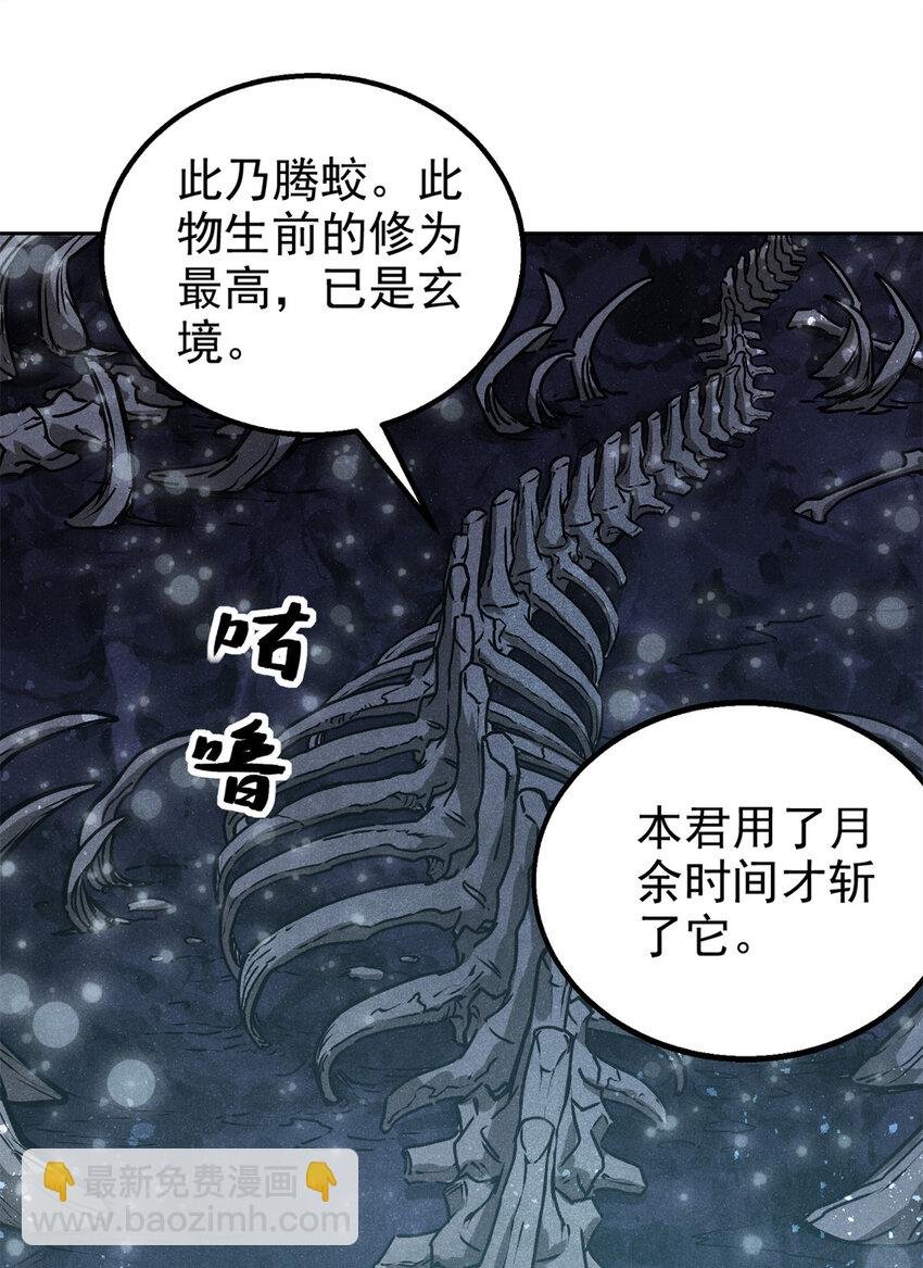 120 白骨林