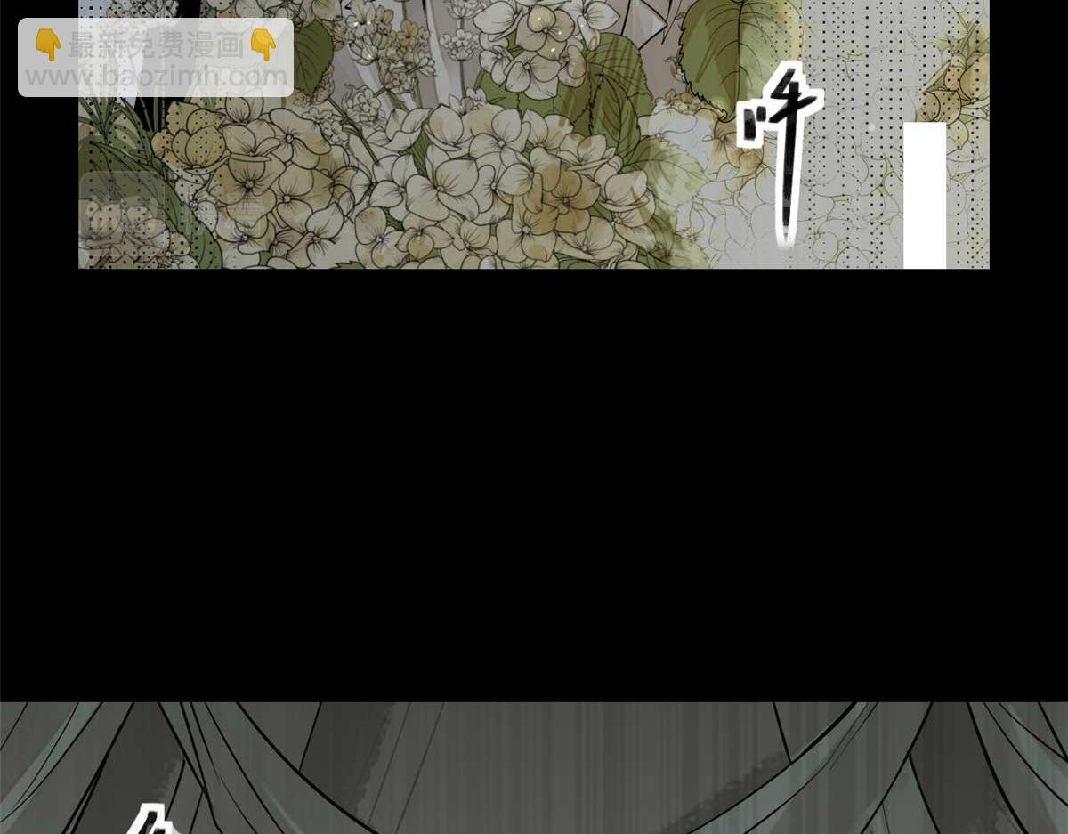 02 这呆鹅！