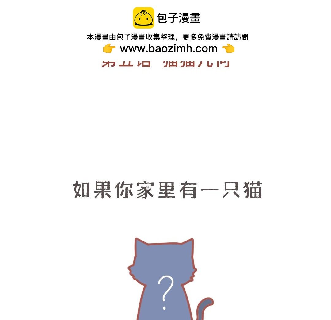 猫猫几何