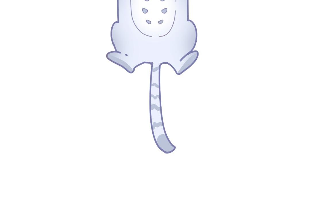 猫猫几何