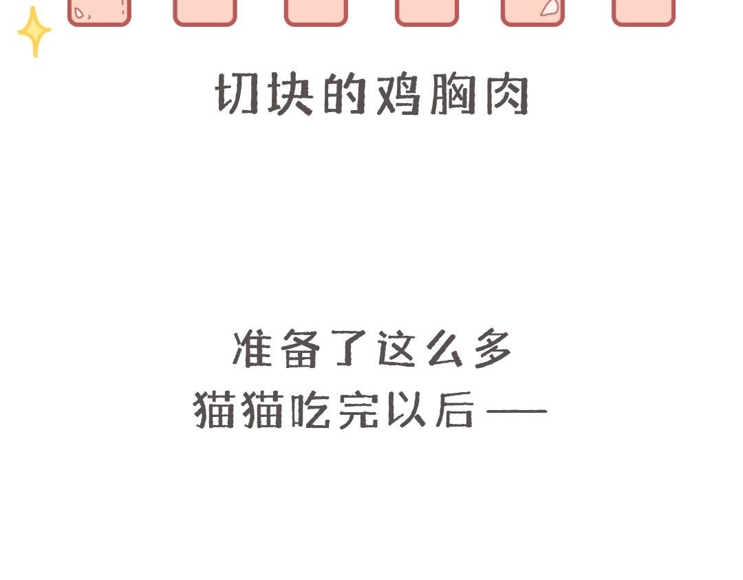 猫猫几何