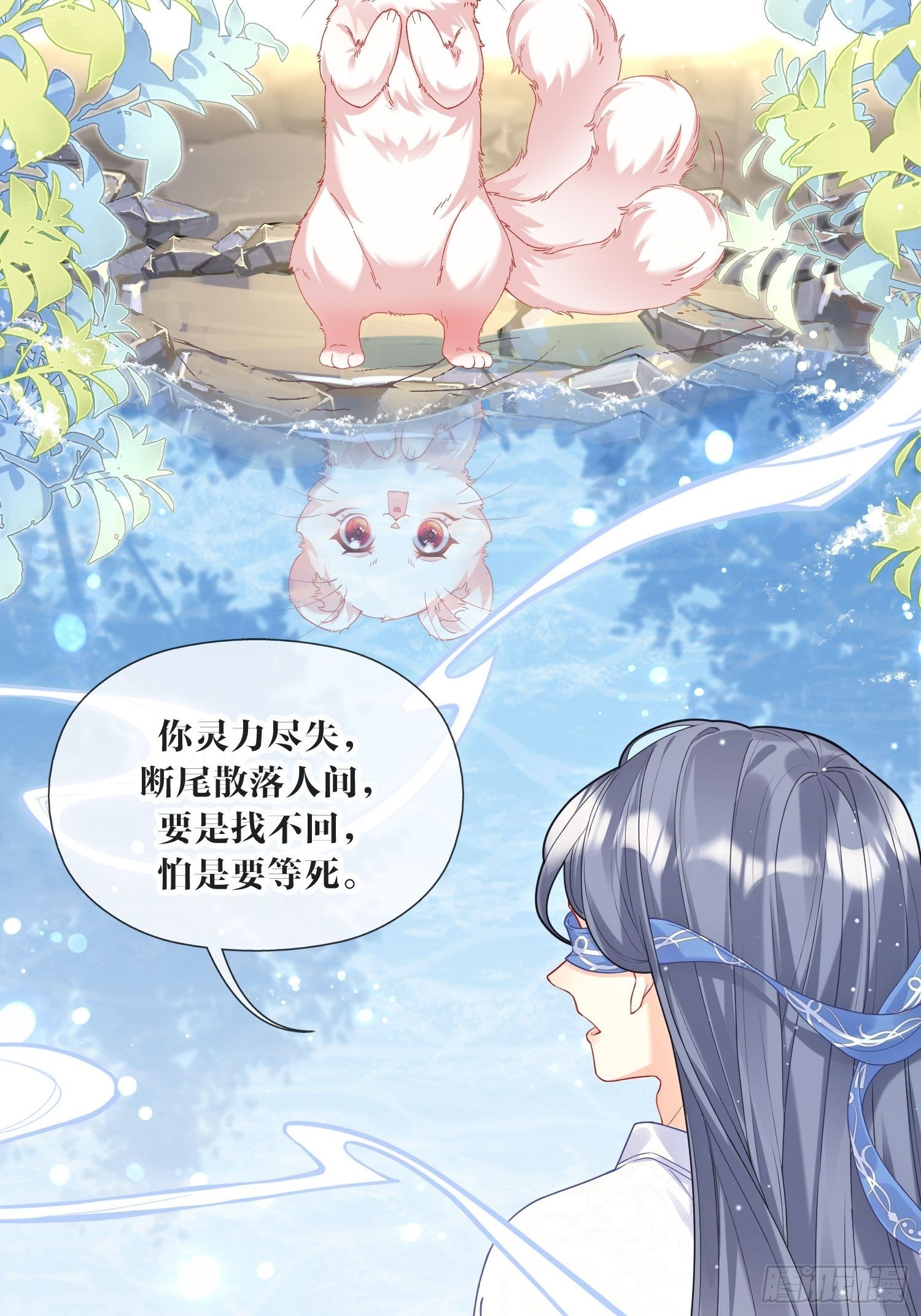 预告