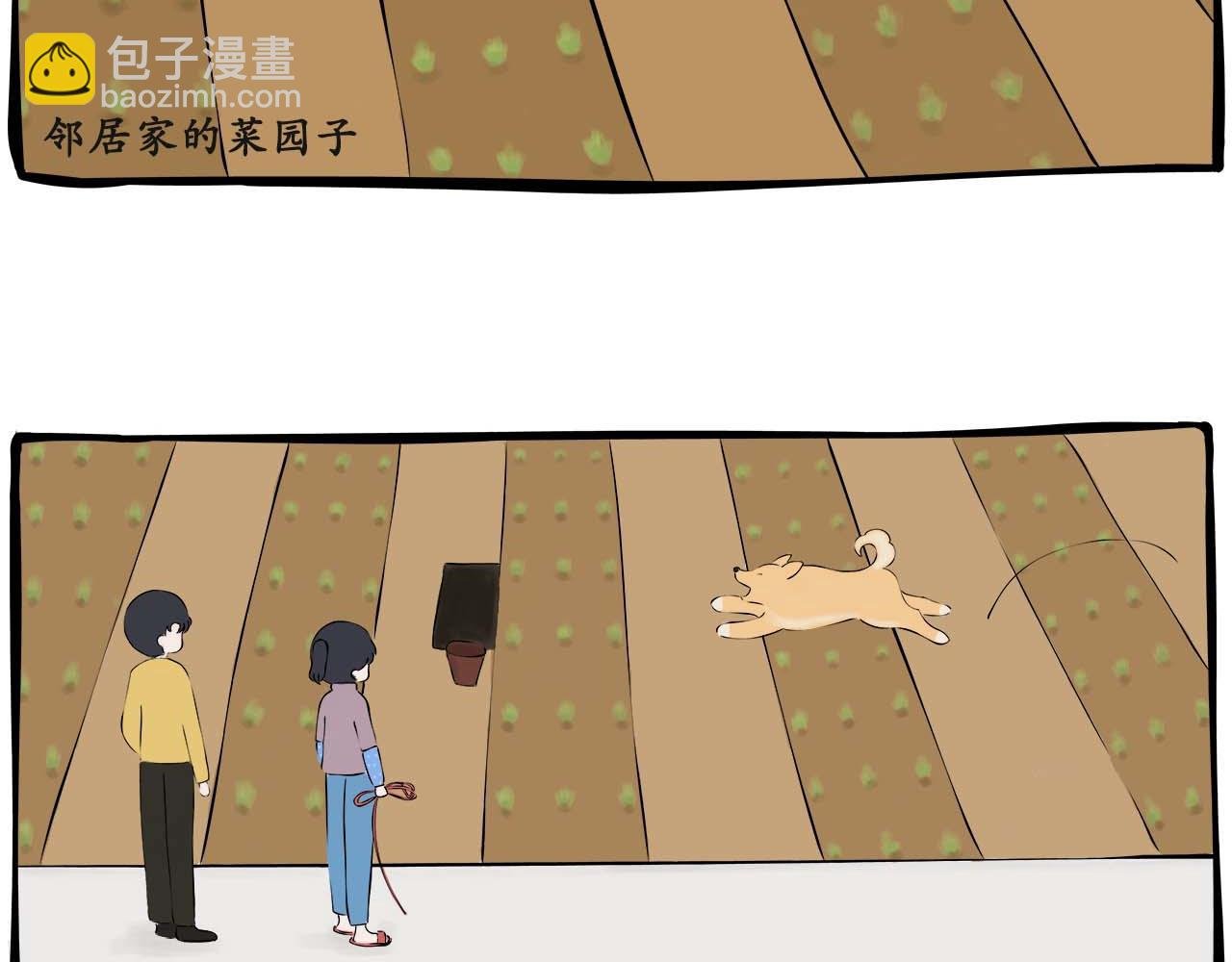 “傻狗”称呼的由来
