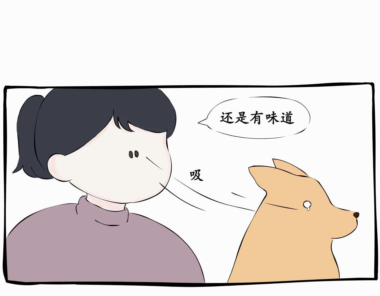 “傻狗”称呼的由来