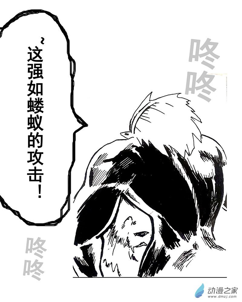 05 领主对决